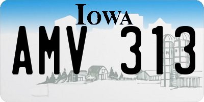IA license plate AMV313