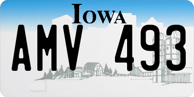 IA license plate AMV493