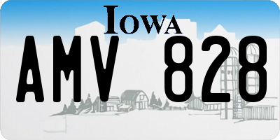 IA license plate AMV828