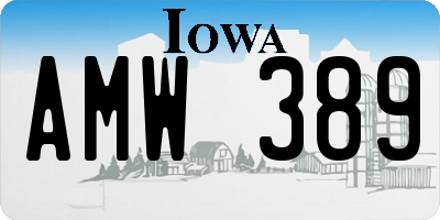 IA license plate AMW389