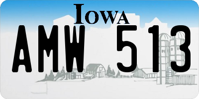 IA license plate AMW513