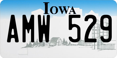 IA license plate AMW529