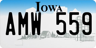 IA license plate AMW559