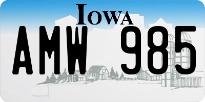 IA license plate AMW985