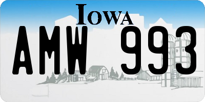 IA license plate AMW993