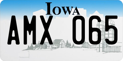 IA license plate AMX065