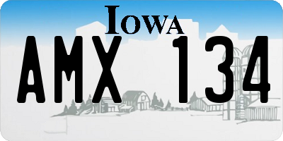 IA license plate AMX134
