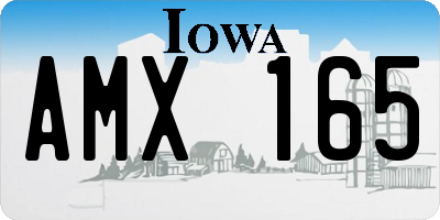 IA license plate AMX165