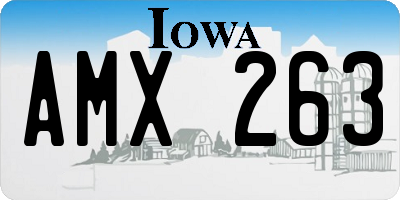 IA license plate AMX263