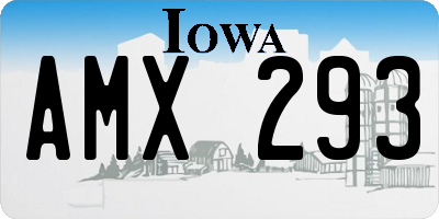 IA license plate AMX293