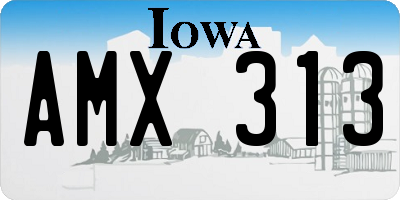 IA license plate AMX313