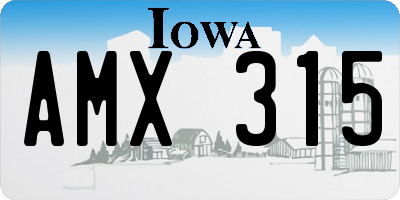 IA license plate AMX315