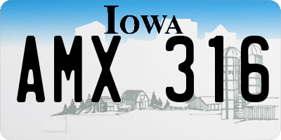 IA license plate AMX316
