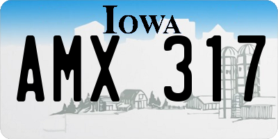 IA license plate AMX317