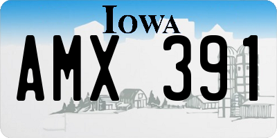 IA license plate AMX391