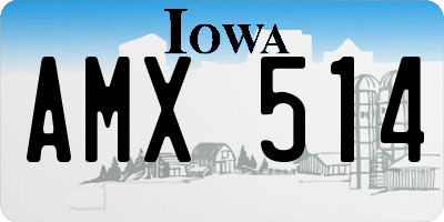 IA license plate AMX514