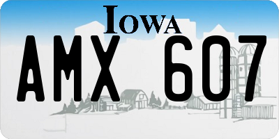 IA license plate AMX607