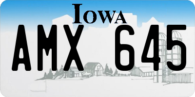 IA license plate AMX645