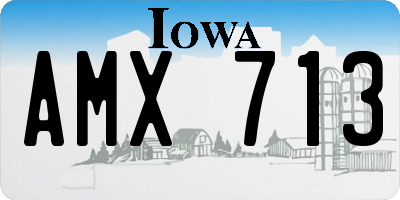 IA license plate AMX713