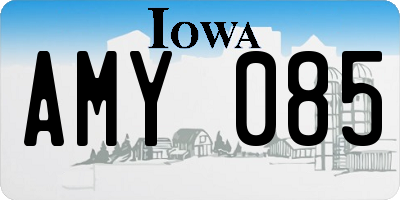 IA license plate AMY085