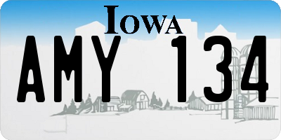 IA license plate AMY134