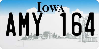 IA license plate AMY164