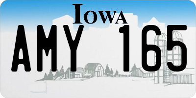 IA license plate AMY165