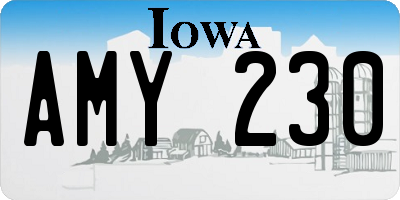 IA license plate AMY230