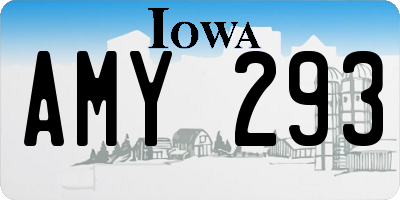 IA license plate AMY293