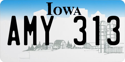 IA license plate AMY313
