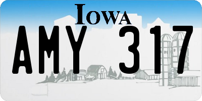 IA license plate AMY317