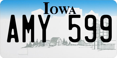 IA license plate AMY599