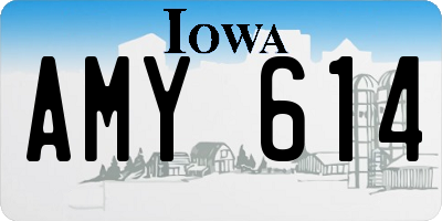 IA license plate AMY614