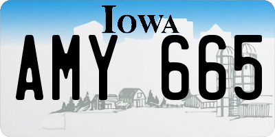 IA license plate AMY665