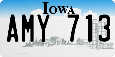 IA license plate AMY713