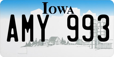 IA license plate AMY993