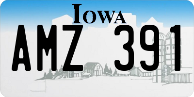 IA license plate AMZ391