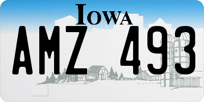 IA license plate AMZ493