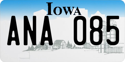 IA license plate ANA085