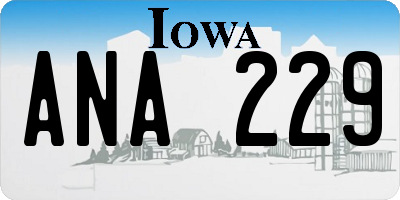 IA license plate ANA229