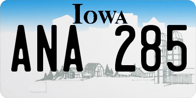 IA license plate ANA285