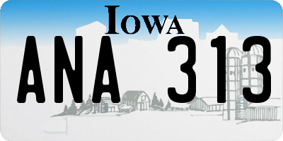 IA license plate ANA313
