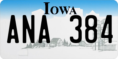 IA license plate ANA384