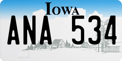 IA license plate ANA534