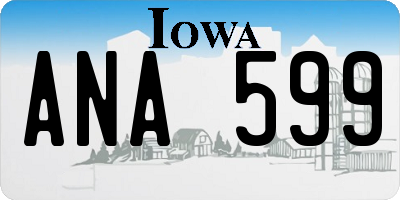 IA license plate ANA599