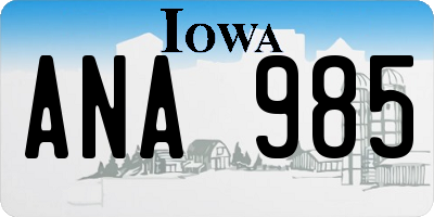IA license plate ANA985