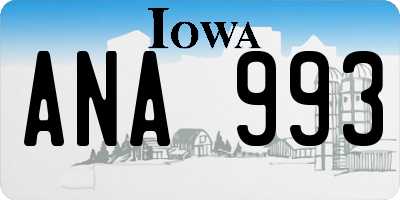 IA license plate ANA993