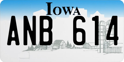 IA license plate ANB614