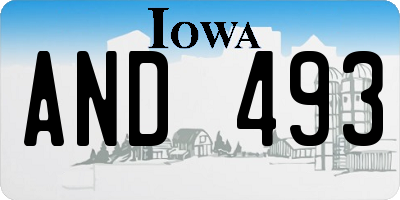 IA license plate AND493