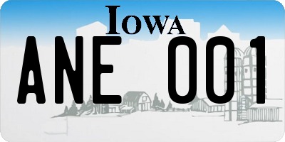 IA license plate ANE001